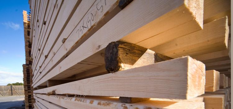 Kinesisk efterfrågan får sågverksindustrin att jubla