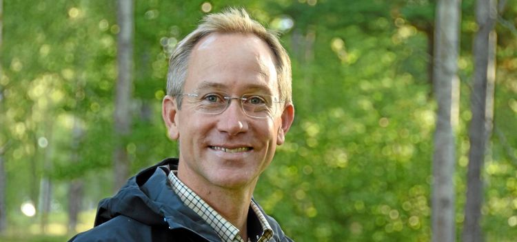 Så klimatkompenserar skogen