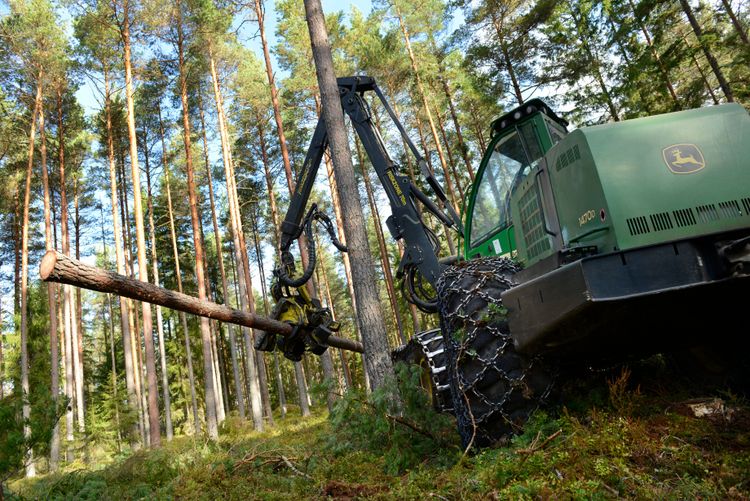 Holmen ökar vinsten – trots minskad omsättning