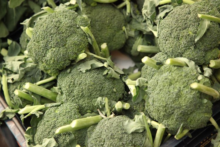 Nu testas om resterna som blad och stock från broccoli kan tas till vara för att minska matsvinnet.