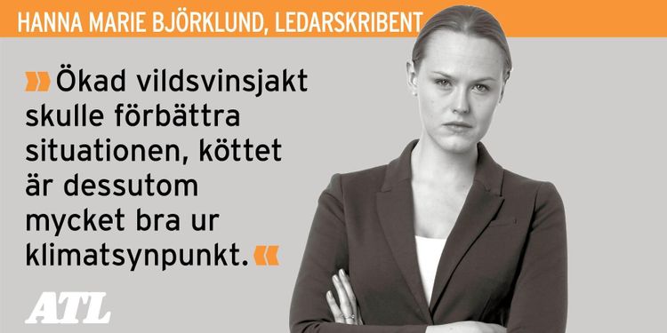 Mycket att vinna på ökad vildsvinsjakt