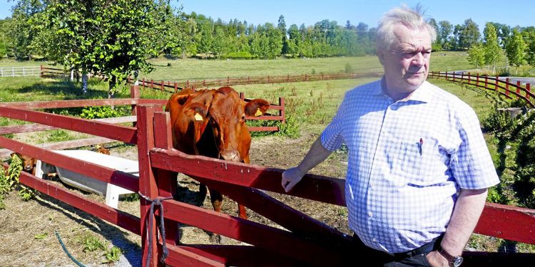 Nya regler ska få fart på handel med vildsvinskött
