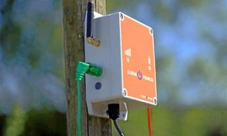 Ny stängselvakt slår larm vid avbrott