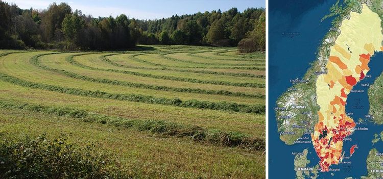 Här finns billig åkermark