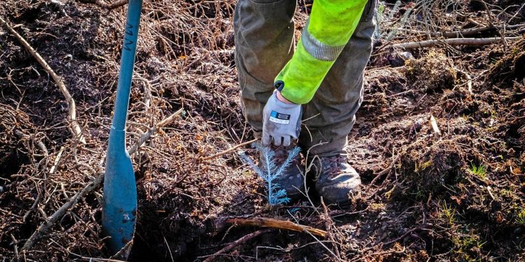 Ukraina häver utreseförbudet