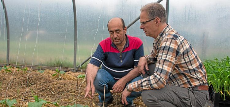 Grön gryning för nyanlända i Värmland