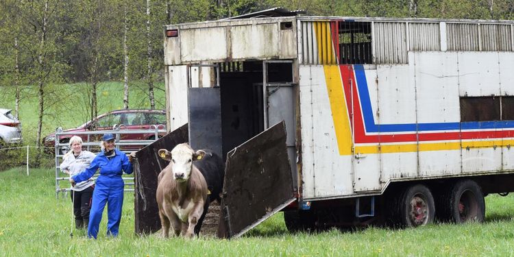 Nu vet de vad som krävs när elden kommer