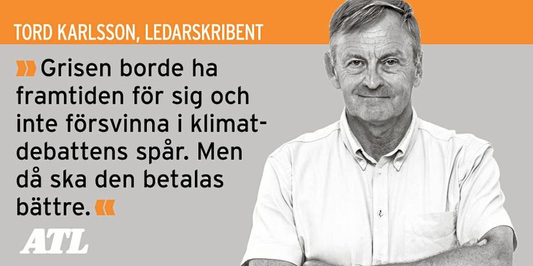 Klokt att inte lita för mycket på Kina