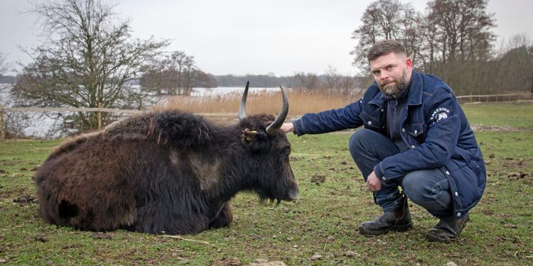 ATL TV: Magert kött från pälsiga bergsdjur