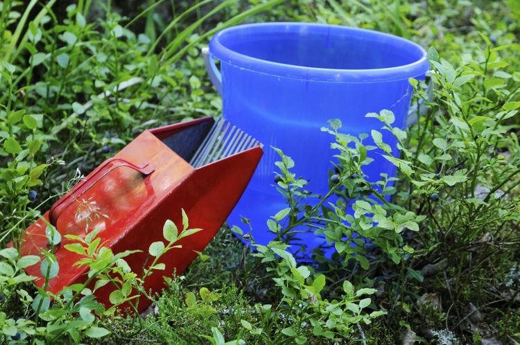 Inga krav på personuppgifter ska göra det enklare för markägare att få Kronofogdens hjälp att avlägsna ovälkomna läger i skogen.