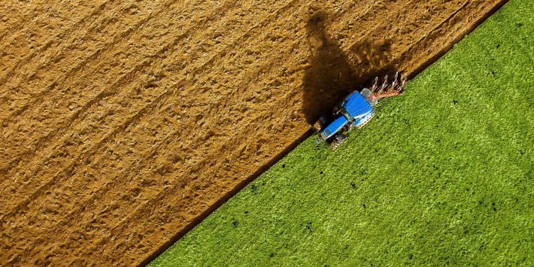 Län för län – så mycket växer ekojordbruken