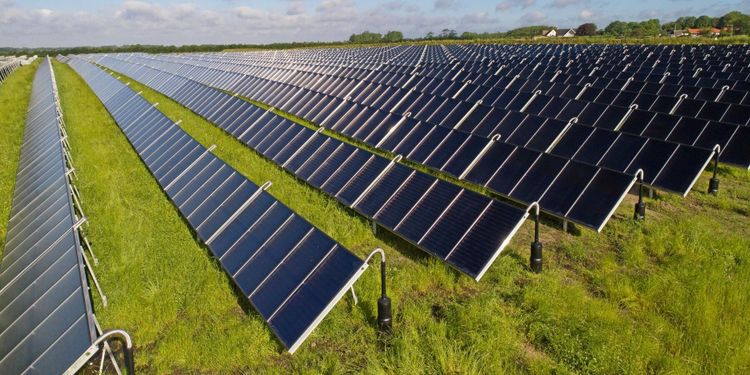 Danska bönder väljer solceller före spannmål