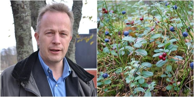 Var rädd om riset och minska betesskadorna