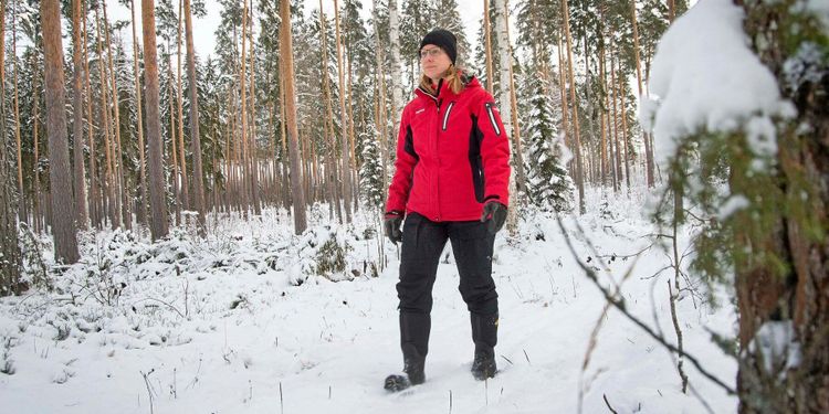 Hennes 25 skogsskiften ska bli två