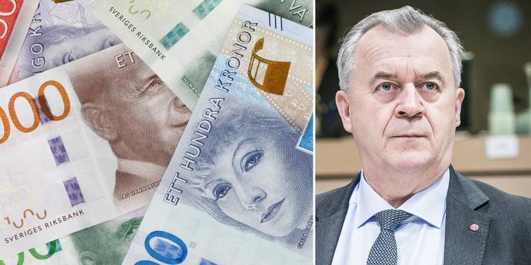 Bucht (S): Alla försenade stöd betalas ut i höst