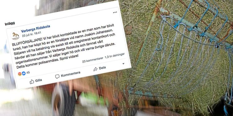 Bedragare lurade åt sig tusentals kronor i ridskolans namn