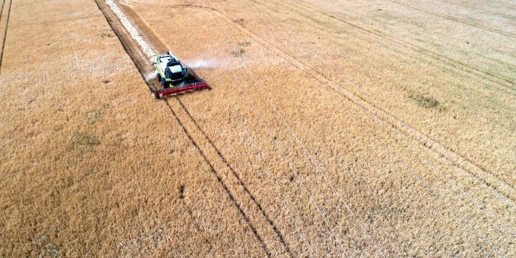 Rekordsvaga resultat i hettans spår