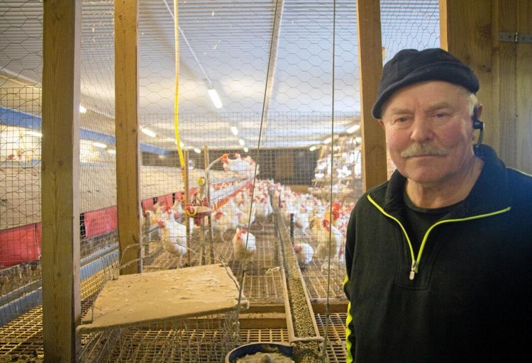 Försök att spara ledde till ny affärsidé