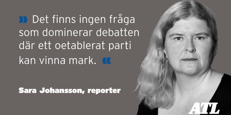 Många gröna i nästa EU-parlament