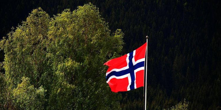 Hälften så dyrt med skog i Norge