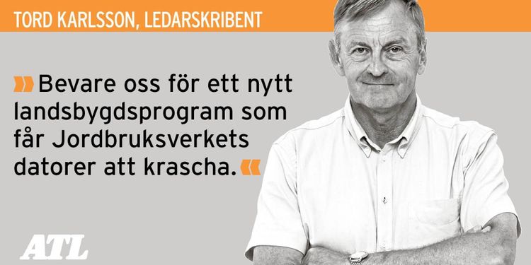 Tjugotalet blir en utmaning för politikerna