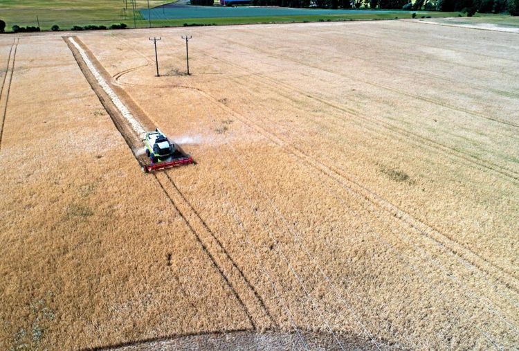 KD: Ge ränta på försenade stöd
