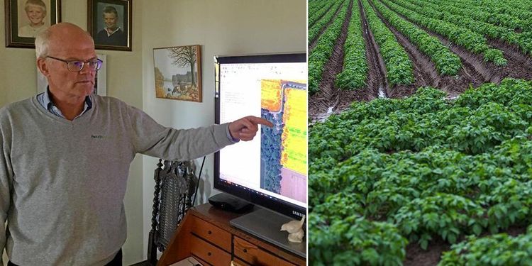 Precisionsodling ska ge mer matpotatis