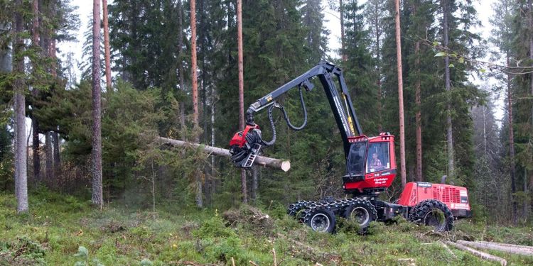 Kostnaden för att avverka sjönk
