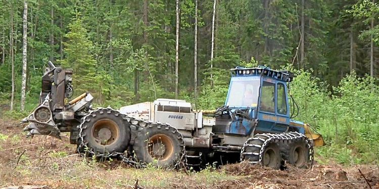 ATL TV: Gammal Rottne drar tungt