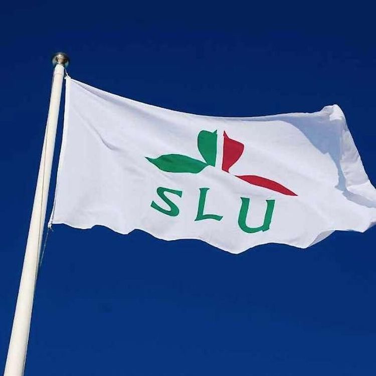 "50 miljoner är i bästa fall en början"