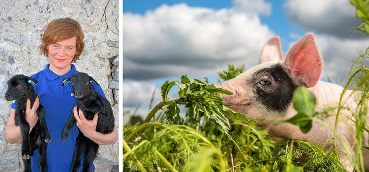 ”Vi slåss för rätten att försvara oss”