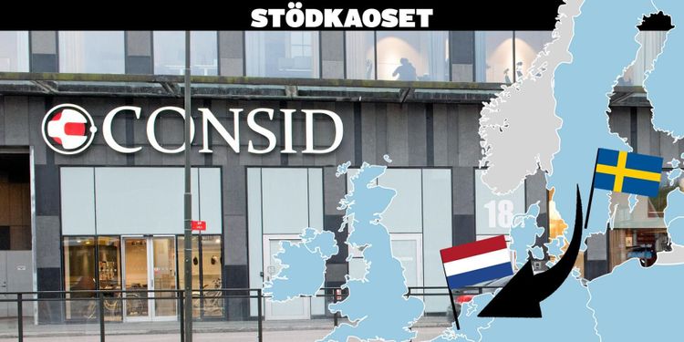 Konsulternas miljonvinster lämnar landet