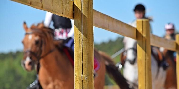 Ridklubb tvingad i konkurs