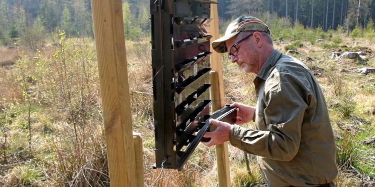 ATL TV: Fällor håller koll på barkborretrycket