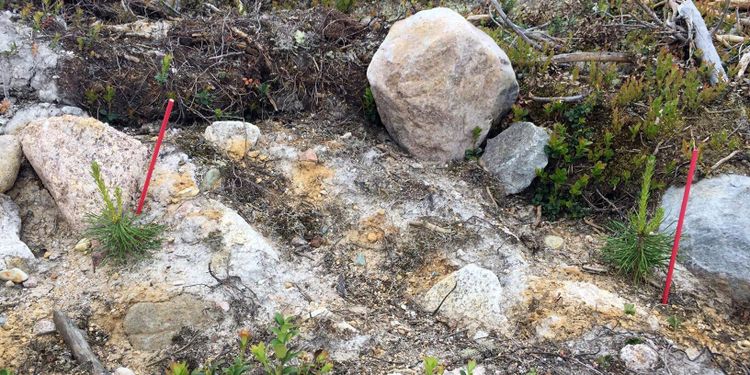 Planerar att bygga ut efter gödselsuccé