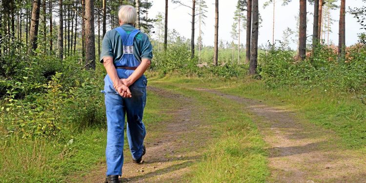Skogsägarna blir färre och äldre