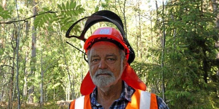 Industrin måste ta ansvar för skogsbränderna