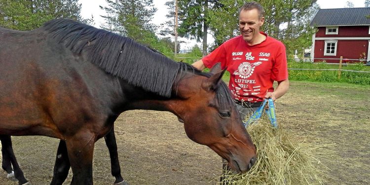 Utan hästar hålls markerna inte öppna