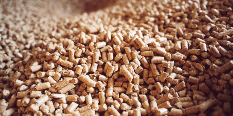 Trendbrott för pelletsexporten