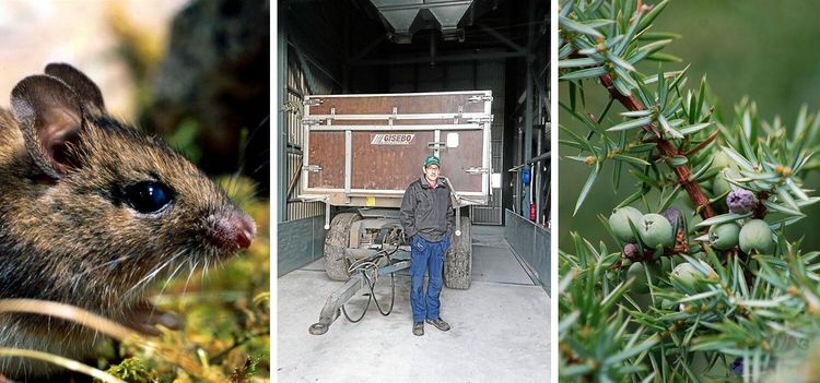 Så håller du mössen borta från maskinen