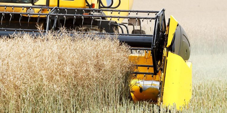 ”Skörden har fått stanna av”