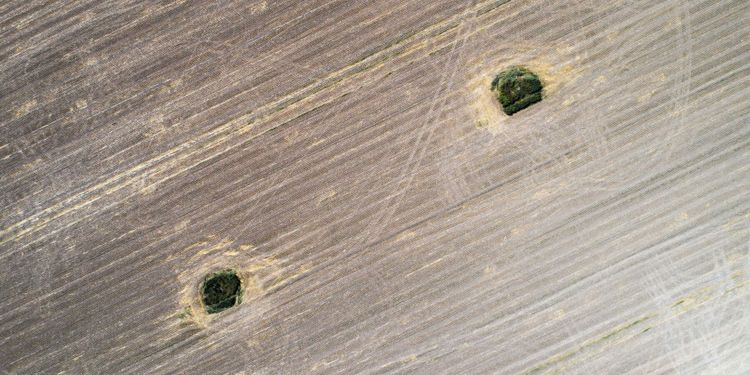 Blommor minskar risken för skador