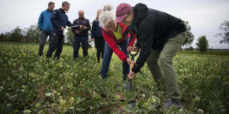 Var finns Sveriges bästa jordhälsa?