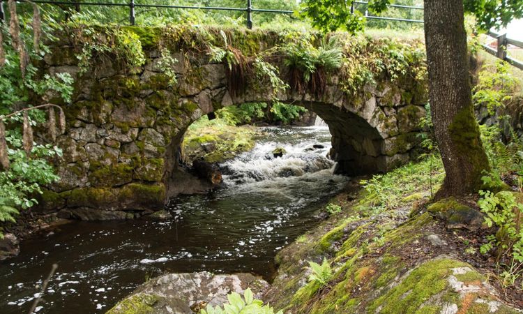 Länsstyrelser ska hålla koll på vattenläget