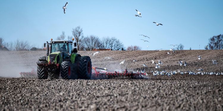 Bönder nobbar biodiesel – för dyrt