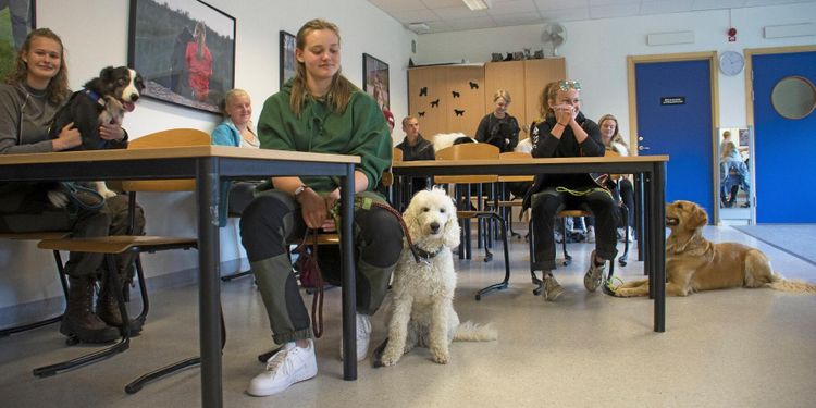 Här går studierna i hundens tecken