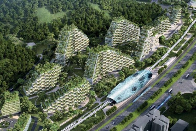 Kina slår på stort - bygger skogsstad