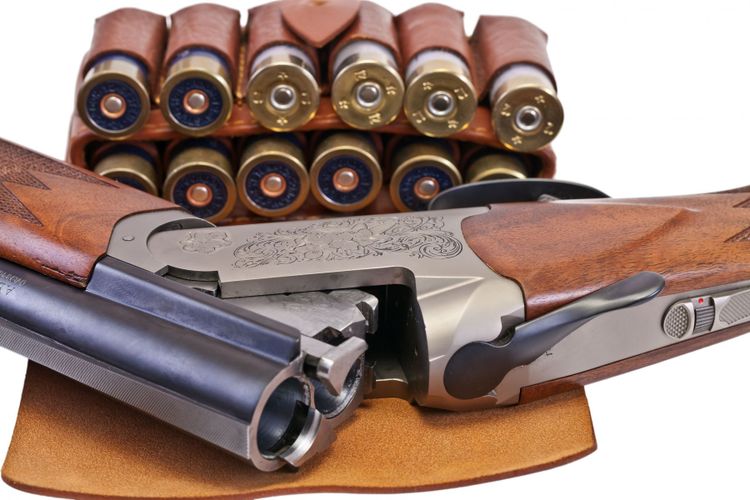 Färre jägare - fler vapenägare visar statistiken.