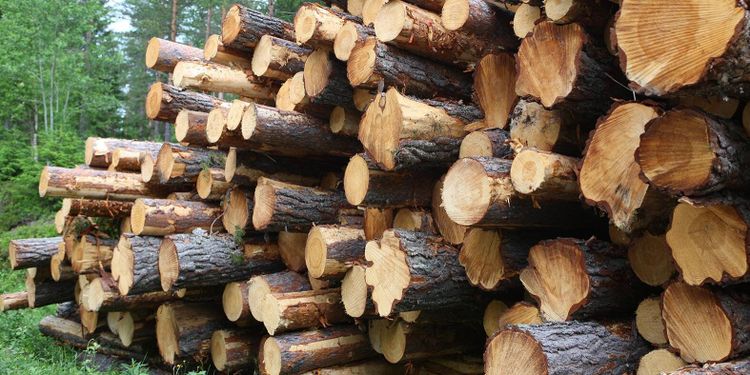 Det finns lösningar på arbetskraftsbristen