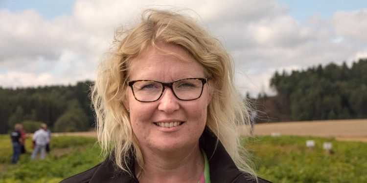 Se fördelarna med extremtorkan